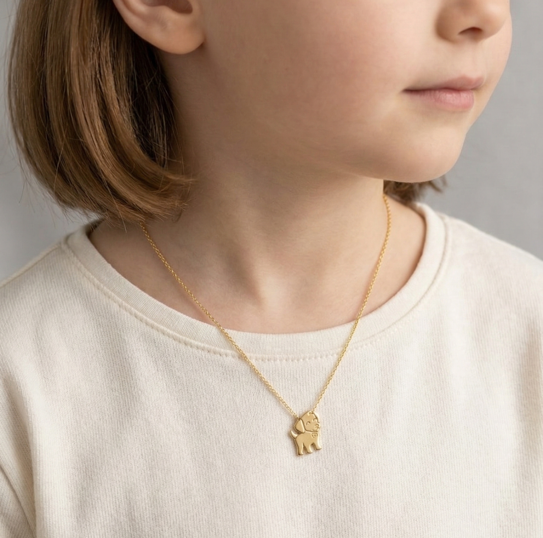 Collier cn15 Collier en plaqué or CN chien – Image 1